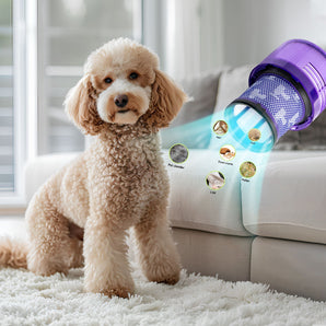 pet friendly filter